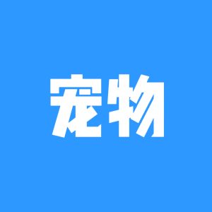 宠物社区-宠物岛-兴趣-猫匿社区