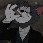 仰星逐日-猫匿社区