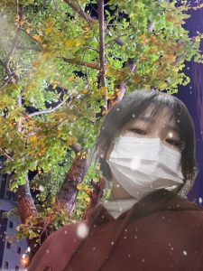 p图技术提升，今年vs去年-猫匿社区