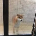 KimKio-猫匿社区