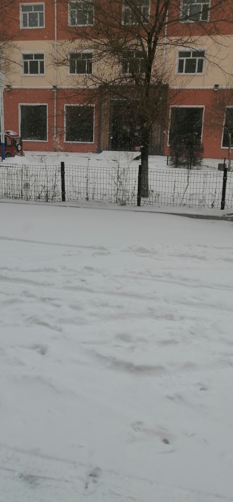 又下雪了-此刻社区-广场-猫匿社区