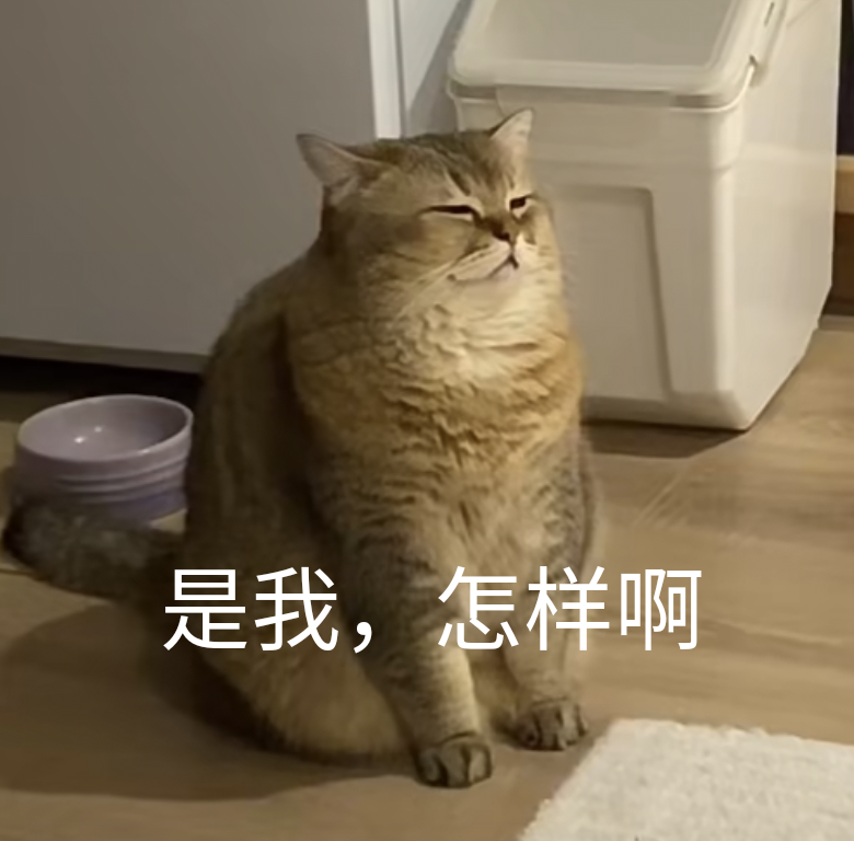 社区话题  小猫-猫匿社区
