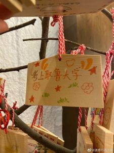 乐-猫匿社区