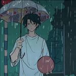薄荷奶绿-猫匿社区