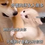 好烦烦-猫匿社区