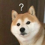 我乃压声第一人-猫匿社区