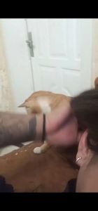 听一万遍反方向的钟可以回到过去吗-猫匿社区