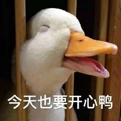 新人-猫匿社区