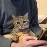 用户68127202-猫匿社区
