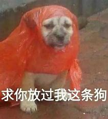 “你这个儿挺显年轻啊”-猫匿社区