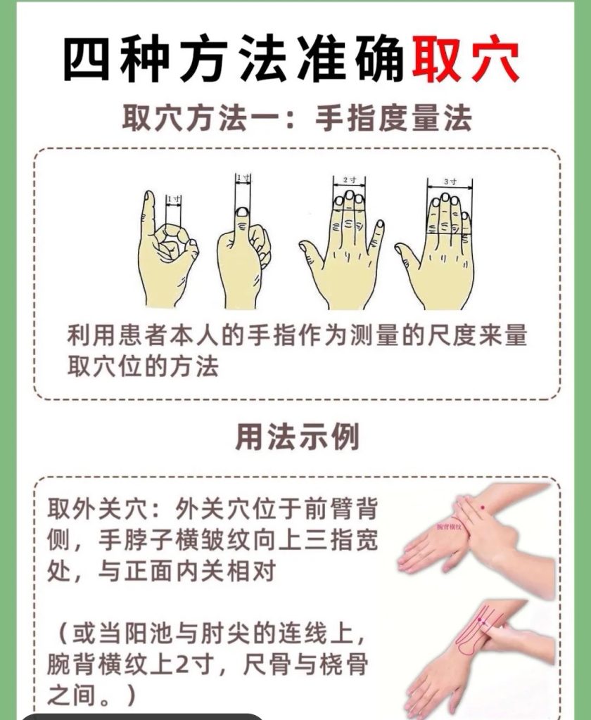 经络腧穴-HTML/CSS社区-技术-猫匿社区