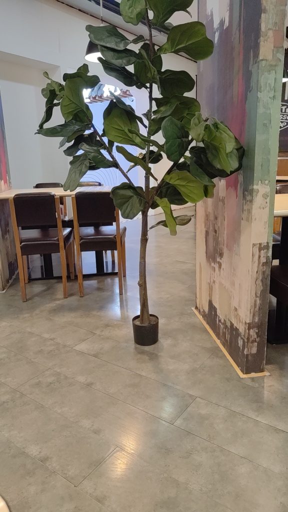 很怪-此刻社区-广场-猫匿社区