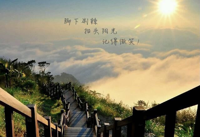 付出就有回报-猫匿社区