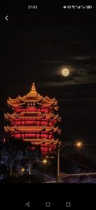 千万不要长期熬夜。

熬夜似乎成为了当代年轻人的代名词。
如今每天都要面对各种各样的压力，也只有黑夜才是属于自己的时间。
但是我们在享受这样浅显的快乐同时，也应该考虑到熬夜所给我们带来的更多的坏处。

长期熬夜会让自身的免疫力下降，从而引发更多的疾病。
熬夜会给心脑血管带来更大的压力，所以现在的心脑血管疾病才会越来越年轻化，很大一部分原因都是因为熬夜带来的。
同时也会让自己变得无比疲劳，第二天无论工作还是上学都会格外没精力。
如此循环下去，身体已经形成了亚健康模式，各种疾病便会趁人之危，从而造成不可逆转的后果。

所以千万不要长期熬夜，这是透支我们生命的最关键因素。
如果让身体长期如此高负荷的去运转的话，总有一天会爆发，到那个时候再后悔的话，可能一切为之过晚。
希望每一个人都能够知晓熬夜的危害，早睡早起才能有助于身心健康！#青春许愿季#-猫匿社区