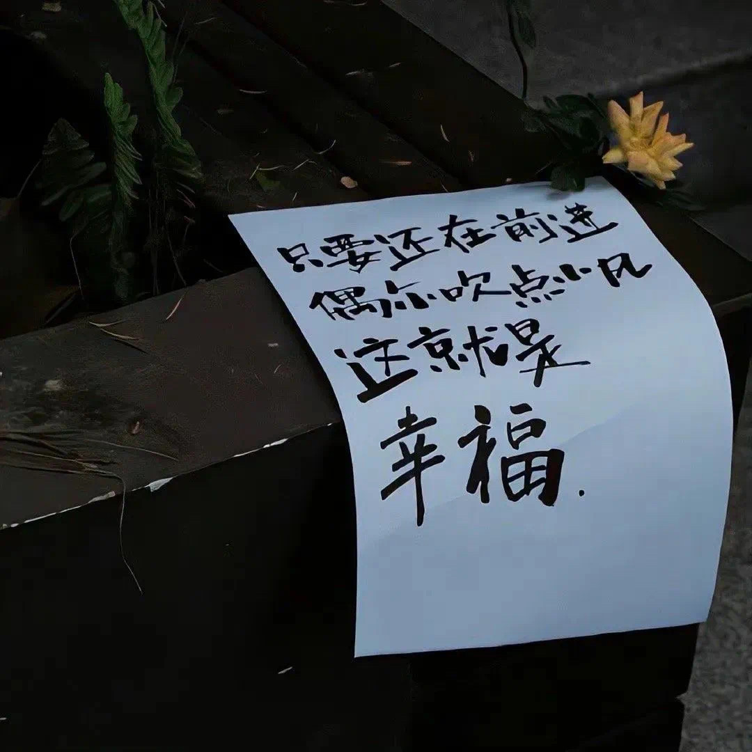 备忘录里的碎碎念 1-猫匿社区