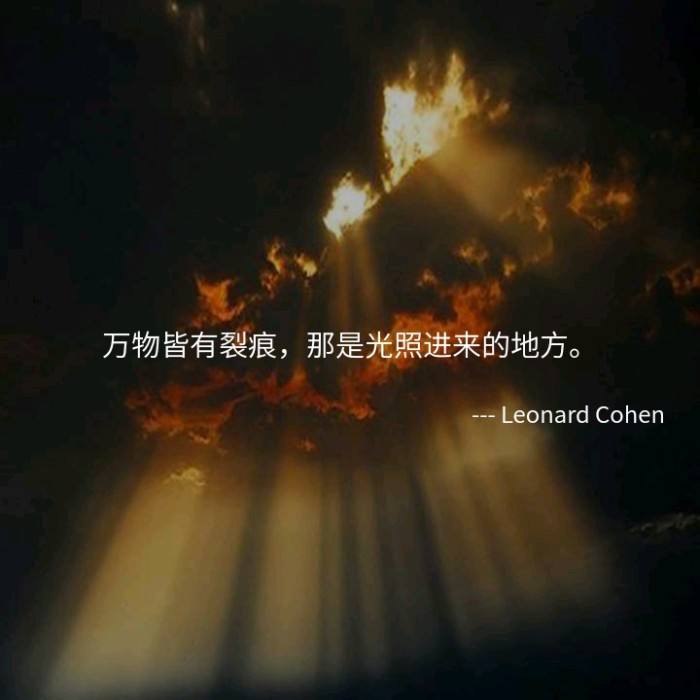 世界上的真相是什么？-猫匿社区