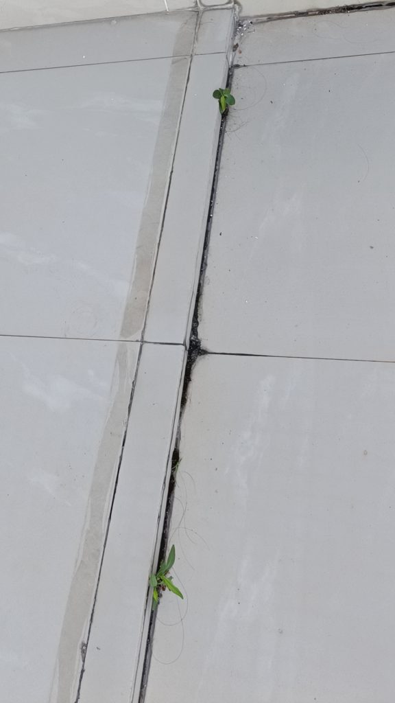 四楼的小草-沙雕社区-情绪-猫匿社区