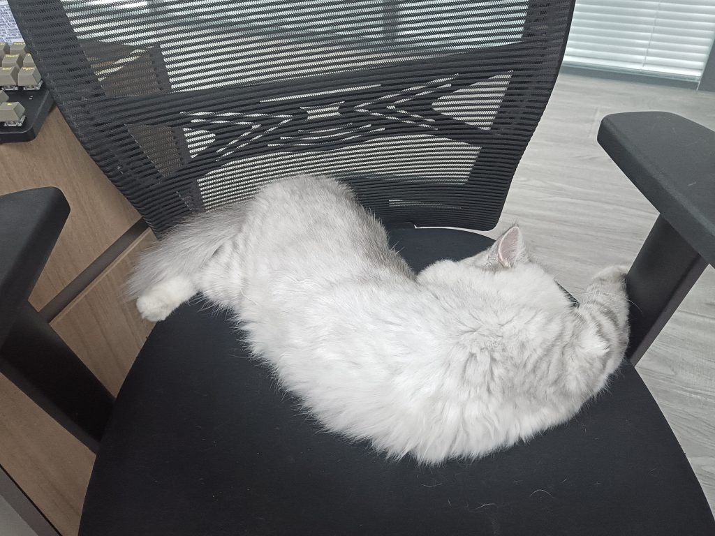 千奇百怪的睡姿哦-开心社区-情绪-猫匿社区
