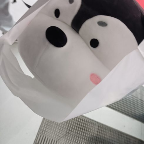 蛮开心的-猫匿社区