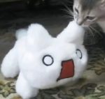 电子羊-猫匿社区