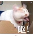 三羧酸不想循环-猫匿社区