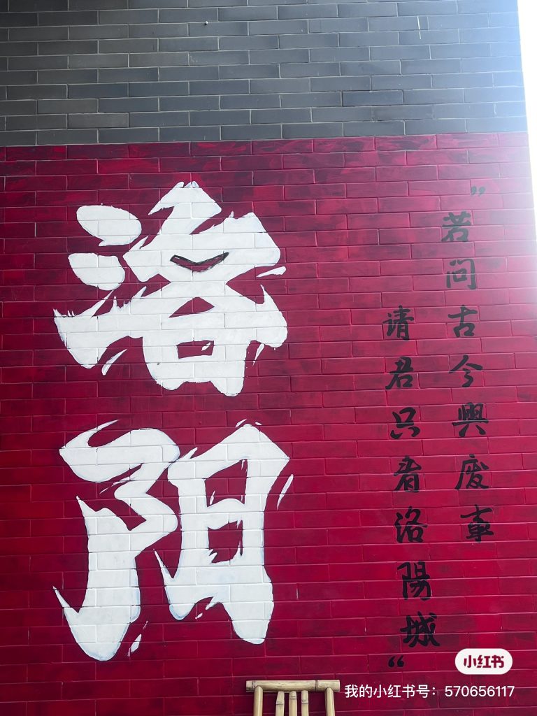 五一洛阳-此刻社区-广场-猫匿社区