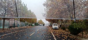 第一个匿名投稿哦-猫匿