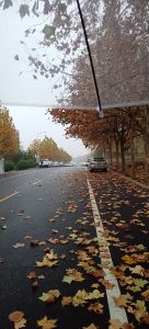 第一个匿名投稿哦-猫匿