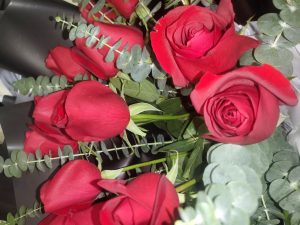 爱永不凋零-猫匿