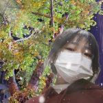 p图技术提升，今年vs去年-猫匿