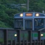 “故事的开头总是极具温柔，但是这个结局烂透了。”-猫匿