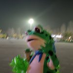 光棍节快乐嘿嘿嘿-猫匿