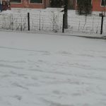 又下雪了-猫匿