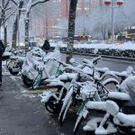 先给大家拜个早年-猫匿