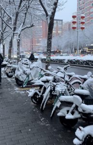 先给大家拜个早年-猫匿