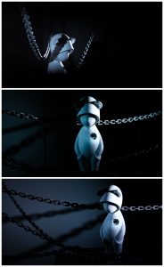 新人第一张-猫匿