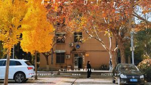 一年又过去了-猫匿