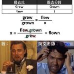 今日梗图合集-猫匿