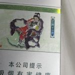 浅抽-猫匿