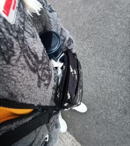 出门揣着保温杯不过分吧-猫匿