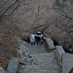 出门揣着保温杯不过分吧-猫匿