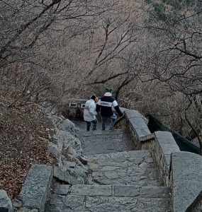 出门揣着保温杯不过分吧-猫匿