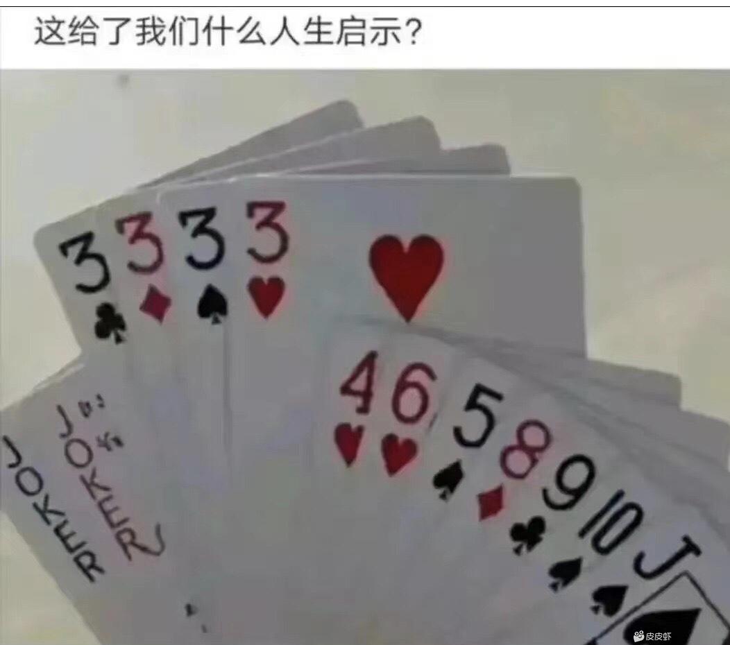 给我们的人生启示是什么-猫匿