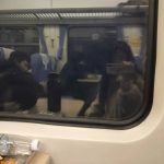 今年于我而言，注定是不平凡的一年|年终总结-猫匿