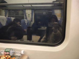 今年于我而言，注定是不平凡的一年|年终总结-猫匿