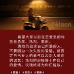 勇敢、热烈、果断-猫匿