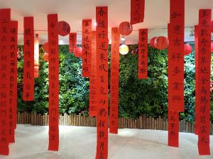 这是谁的生日呀，淡然是我啦-猫匿