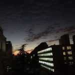 简单回忆一下学生时期吧-猫匿