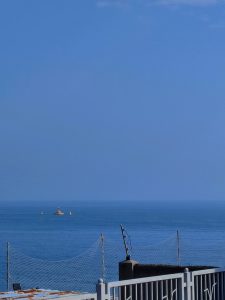 ℋᵅᵖᵖᵞ♡ᵕ̈ ?-猫匿