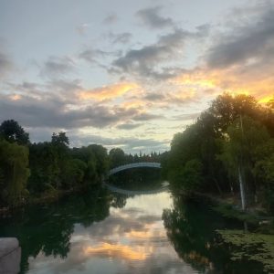 总要享受一下生活吧-猫匿